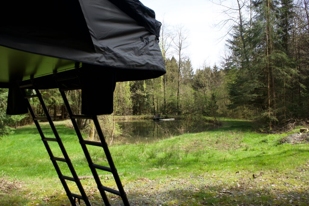 Blick aus dem aufgebauten Dachzelt auf einen Teich im Wald